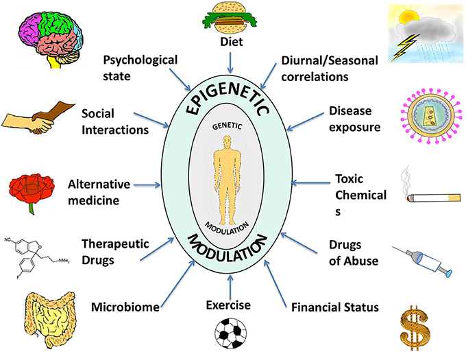 Epigenetic Modulation | Swiss Health Bio Care