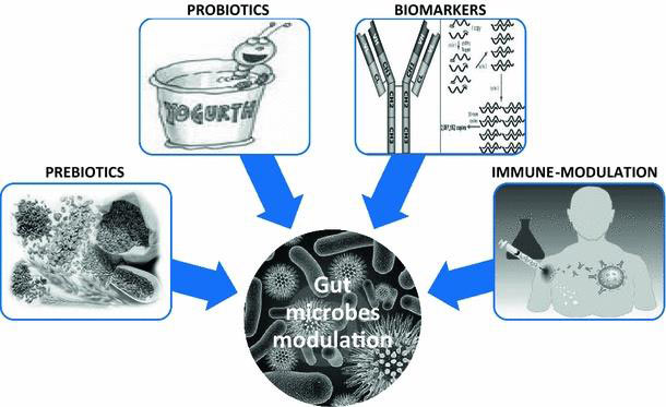 Impact of Gut Microbiota | Swiss Health Bio Care